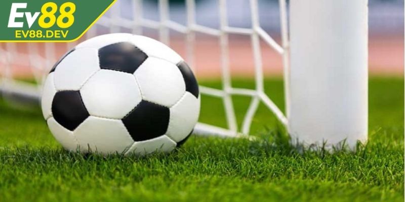 Kèo 1/2 dự đoán nửa trái giúp phân định kết quả rõ ràng