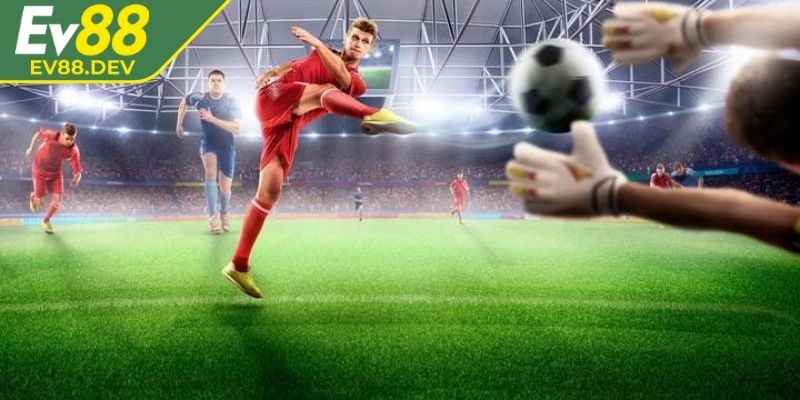 Lựa chọn minh bạch, dễ tiếp cận, giàu tính chiến thuật