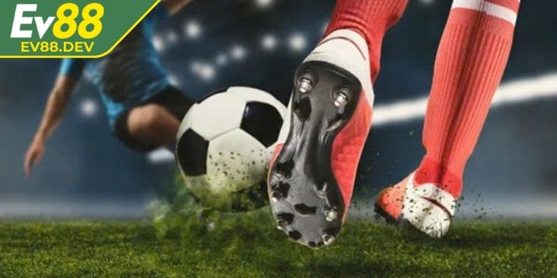 Tính kèo 1/2 EV88 minh bạch giúp hội viên dễ dàng nắm kết quả