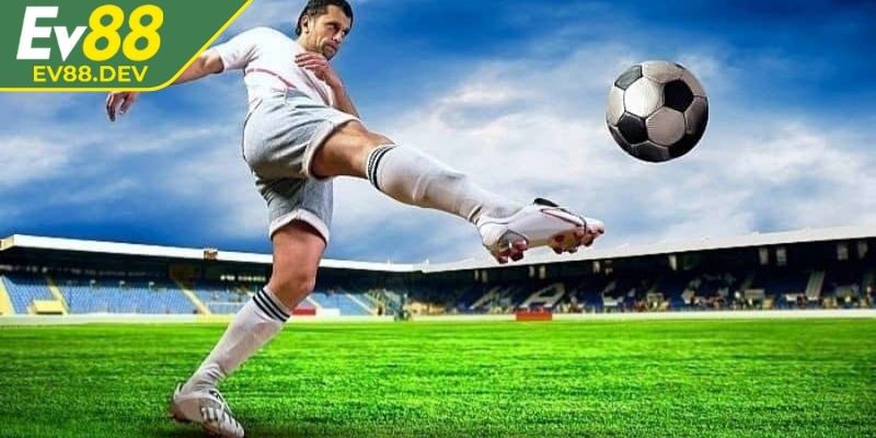 Lưu ý khi tham gia cá cược cho người mới