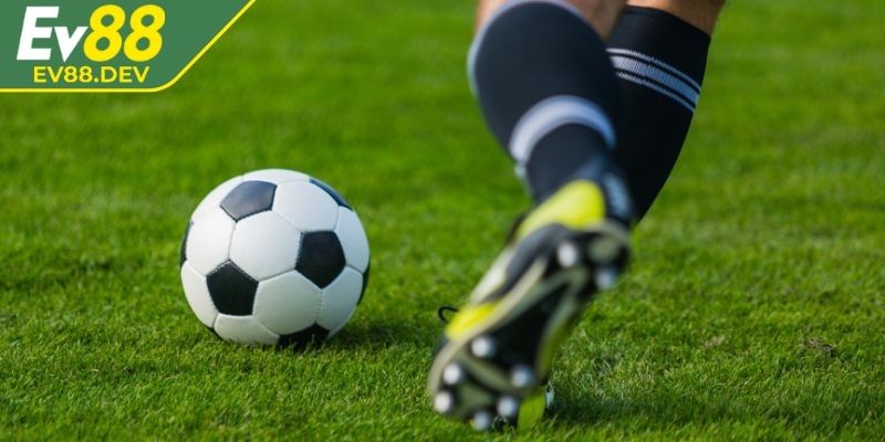 Phân tích dữ kiện dự đoán chính xác hơn so với dựa vào cảm tính