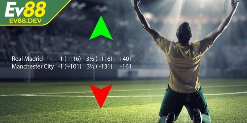 Loại hình cá cược đầy hấp dẫn tại web