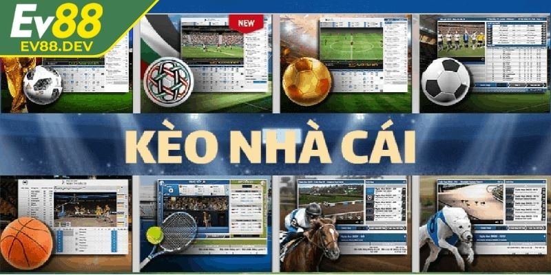 Tìm hiểu chi tiết về kèo nhà cái EV88