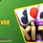 Xì Tố EV88 - Chiến Thuật Cược Thông Minh Cho Tay Bài